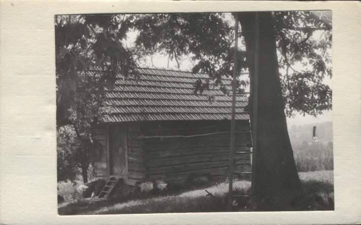 spichlerzyk, skan 2