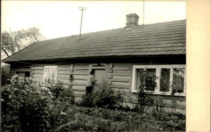 dom, skan 2