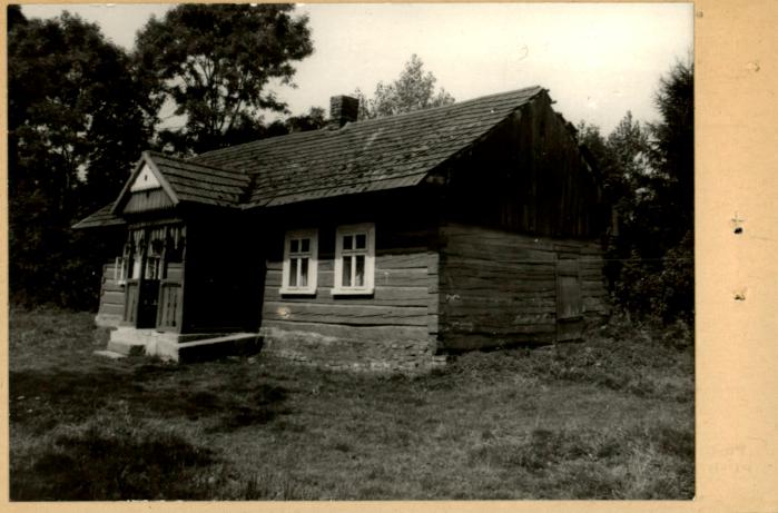dom, skan 2
