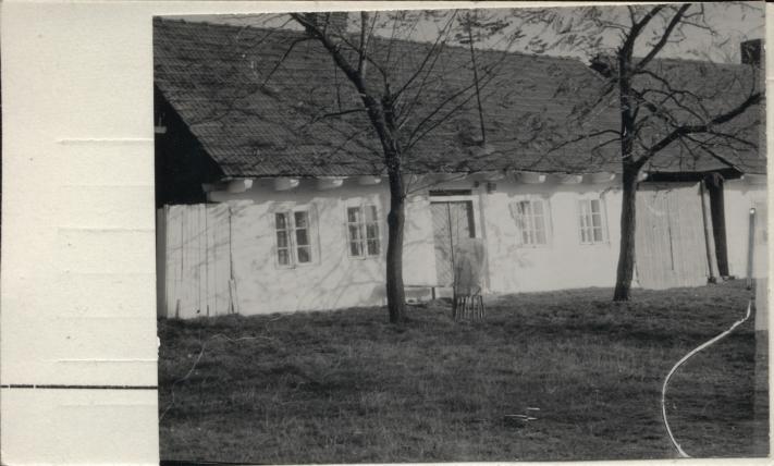dom, skan 2
