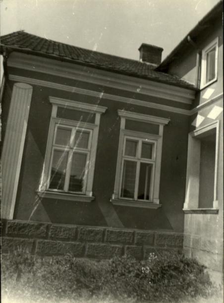 willa, skan 2