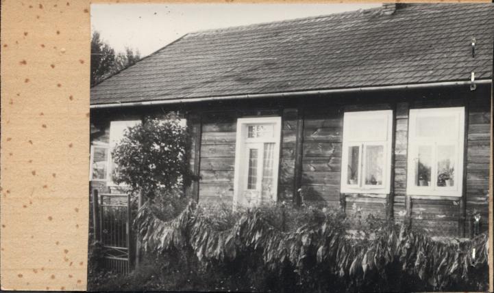 dom, skan 2