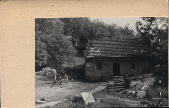 obora - zagroda, skan 2