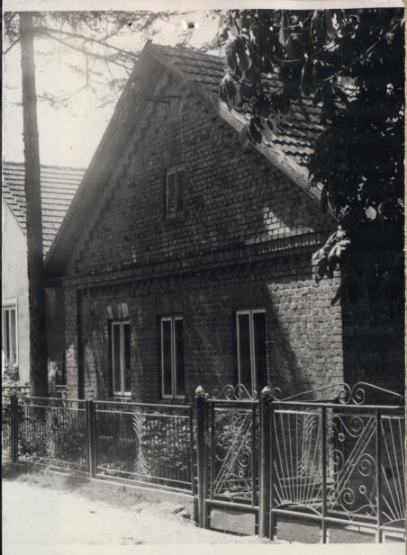 dom, skan 3