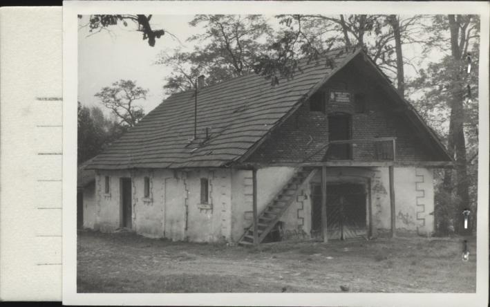 stajnia, skan 2