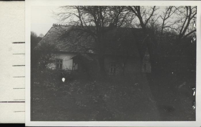 dom, skan 2