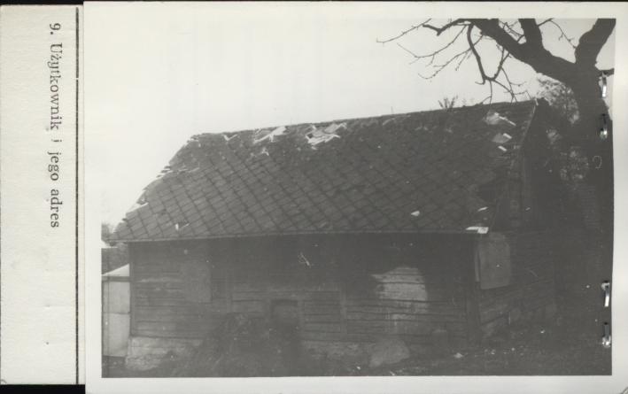 stajnia, skan 2
