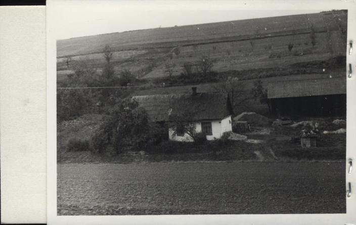 dom, skan 2