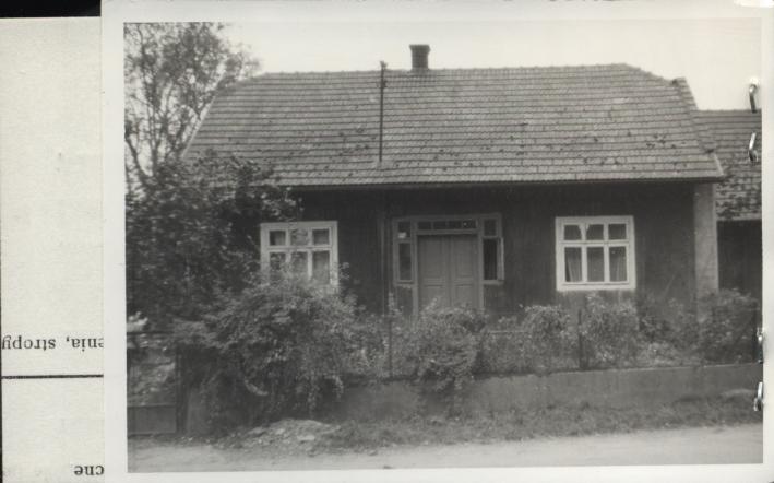 dom, skan 2