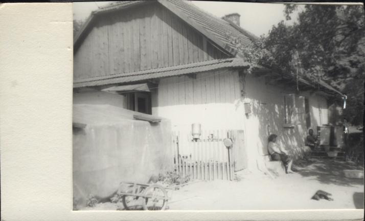 dom, skan 2