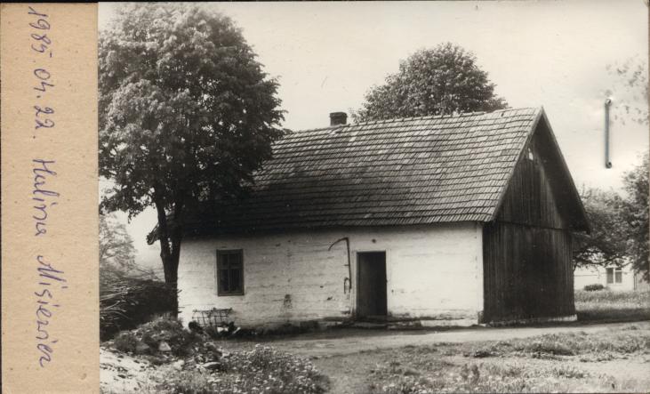 dom, skan 2