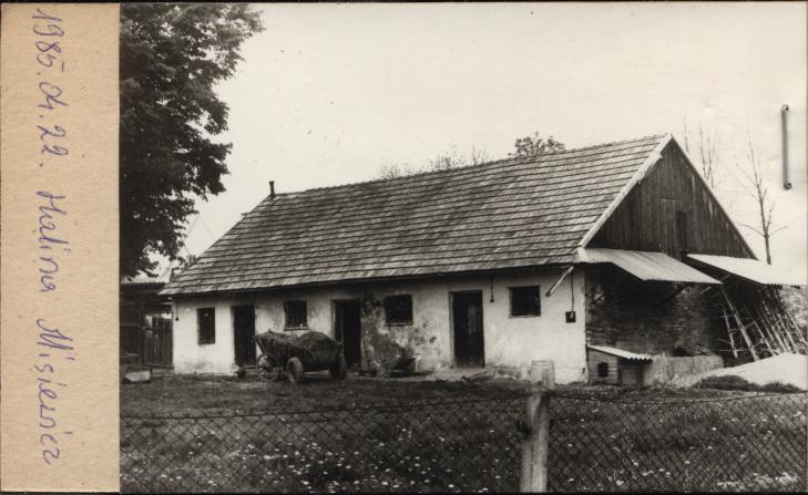 stajnia, skan 2