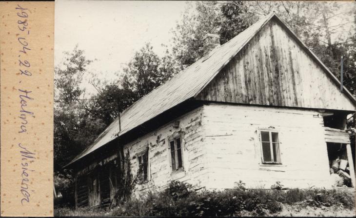 dom, skan 2