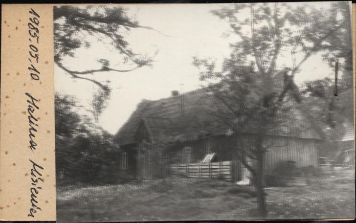 dom, skan 2