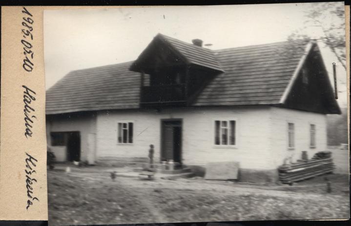 dom, skan 2