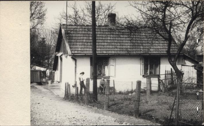 dom, skan 2