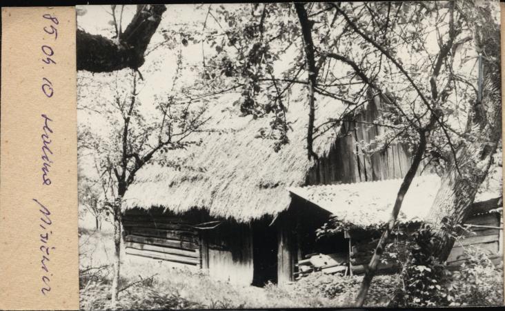 stodoła, skan 2