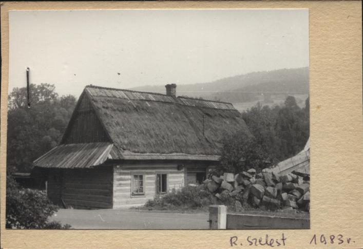 dom, skan 2
