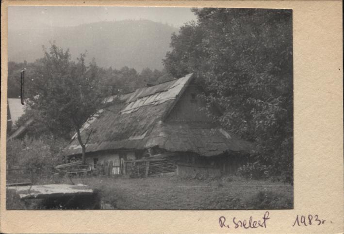 dom, skan 2
