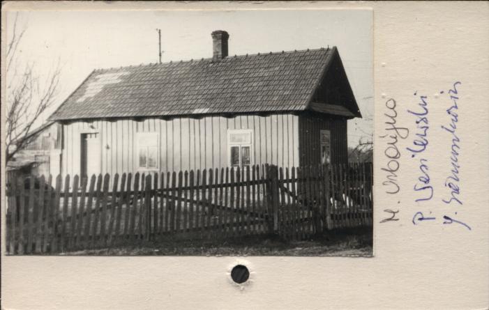 dom, skan 2