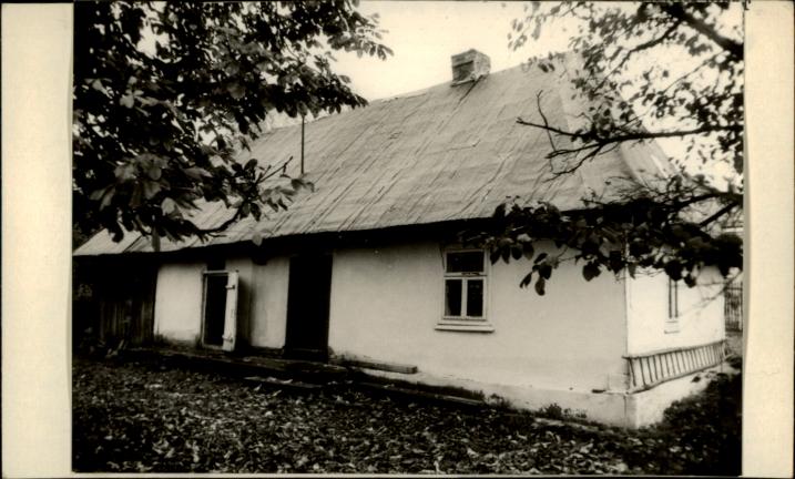 dom, skan 2