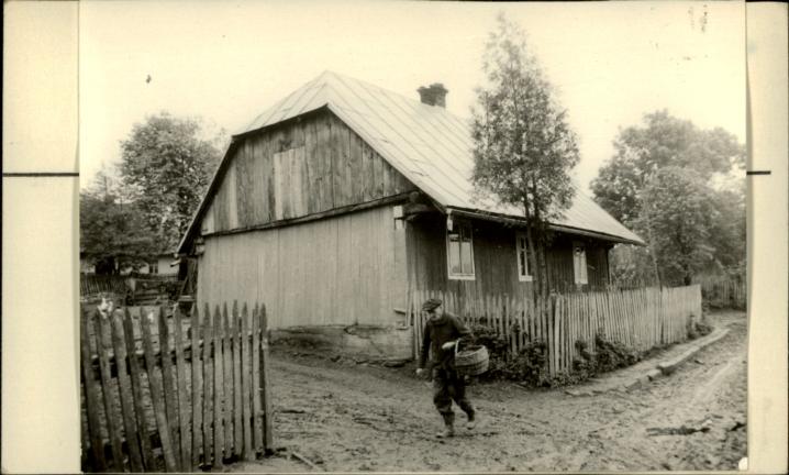 dom, skan 2