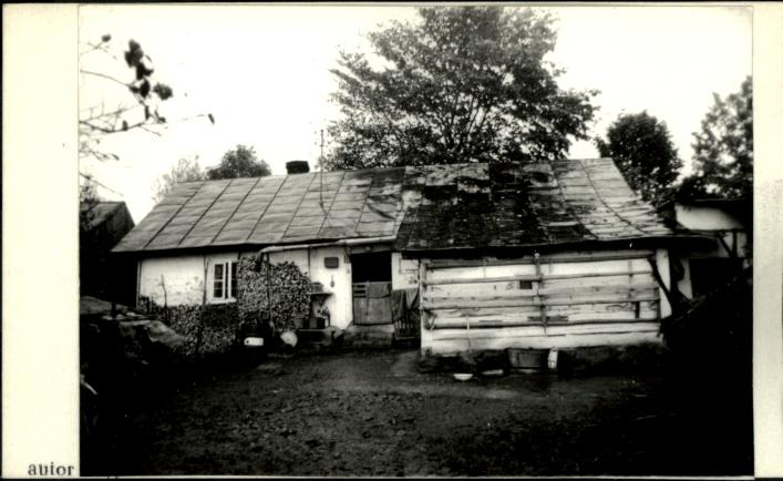 dom, skan 2