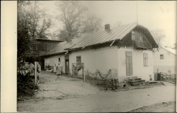 dom, skan 2