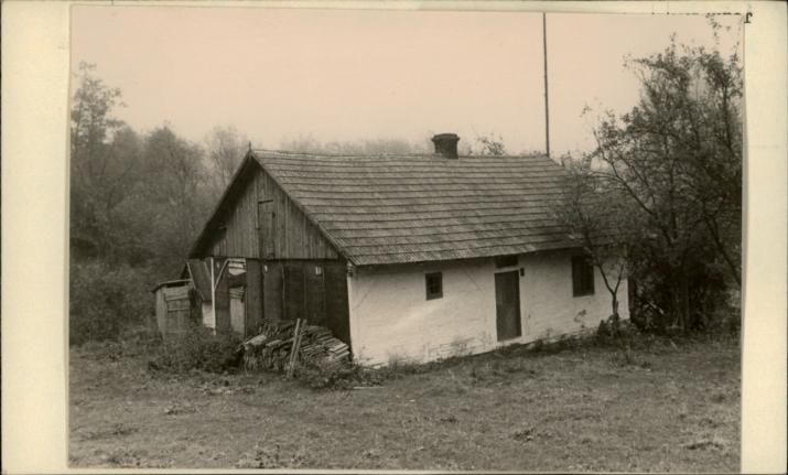 dom, skan 2