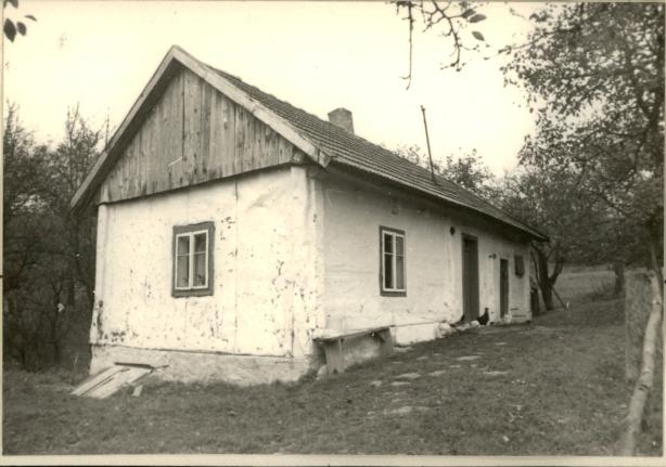 dom, skan 2
