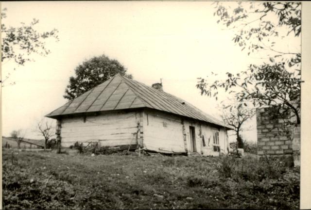 dom, skan 2