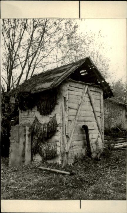 suszarnia tytoniu, skan 2