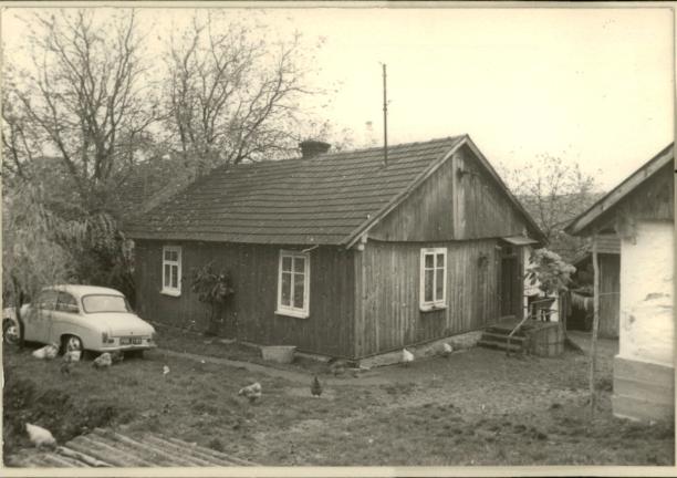 dom, skan 2