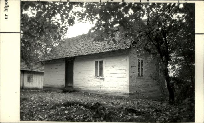dom, skan 2