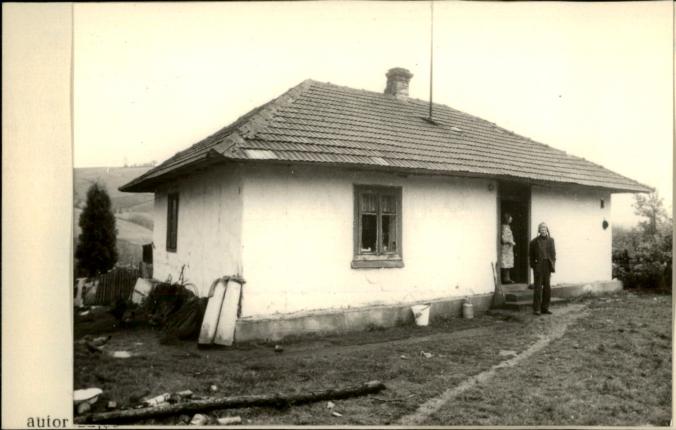dom, skan 2