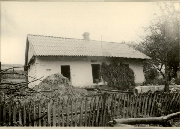 dom, skan 2