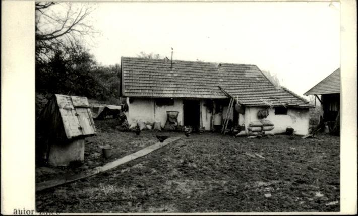 obora, skan 2