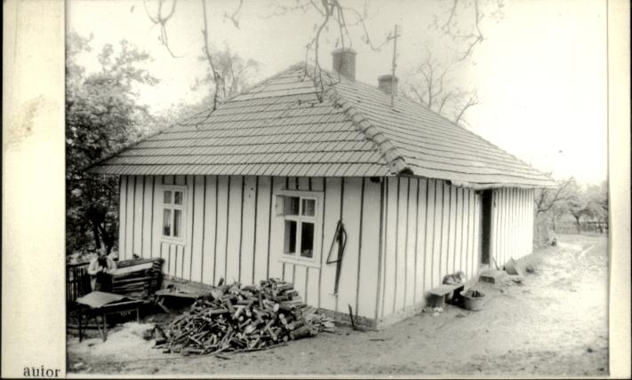 dom, skan 2