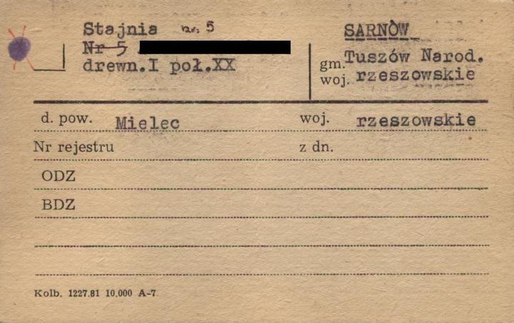 stajnia, skan 1