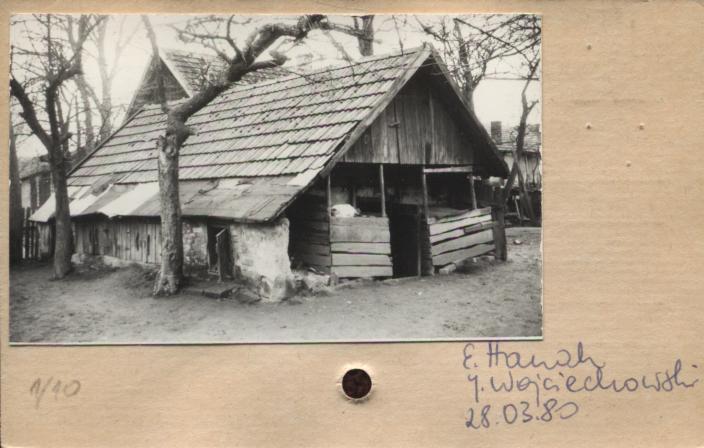 piwniczka, skan 2