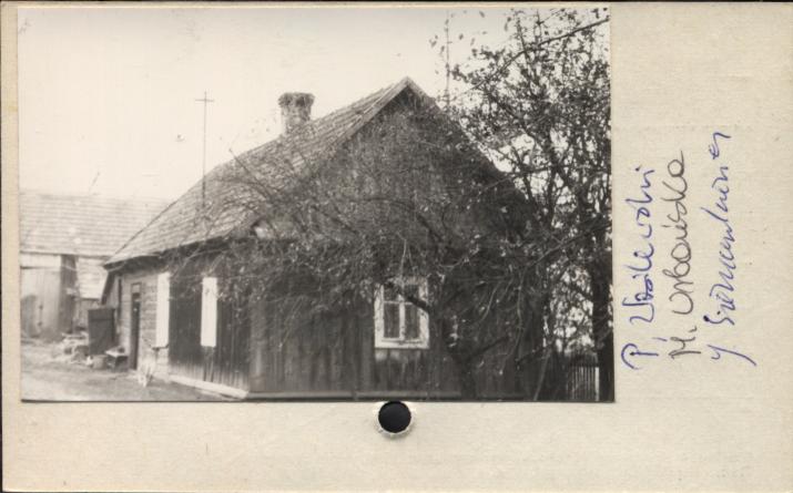 dom, skan 2