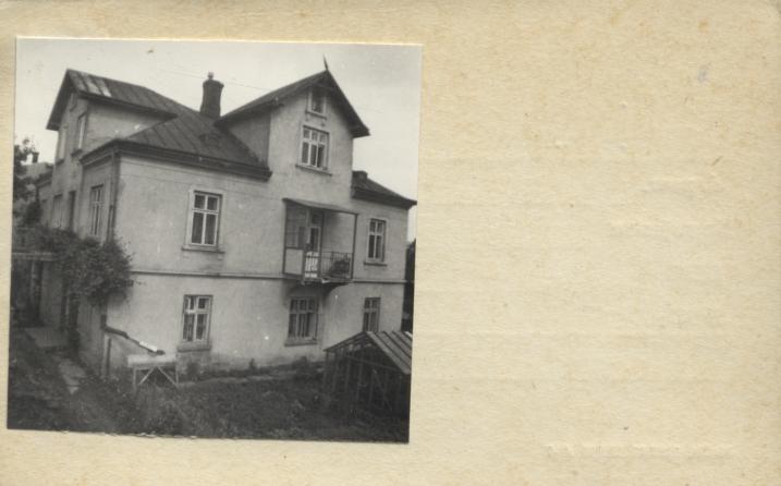 dom, skan 2