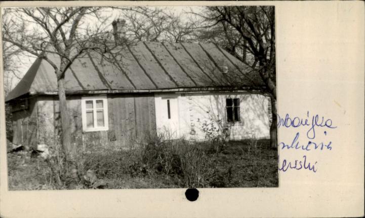 dom, skan 2