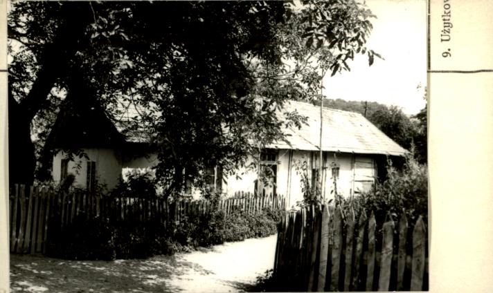 dom, skan 2