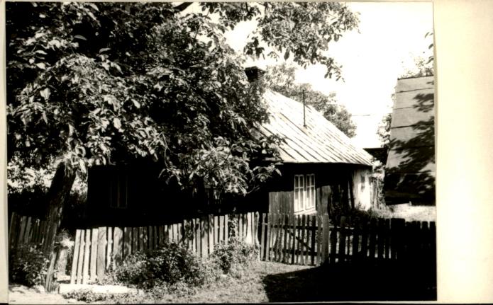 dom, skan 2