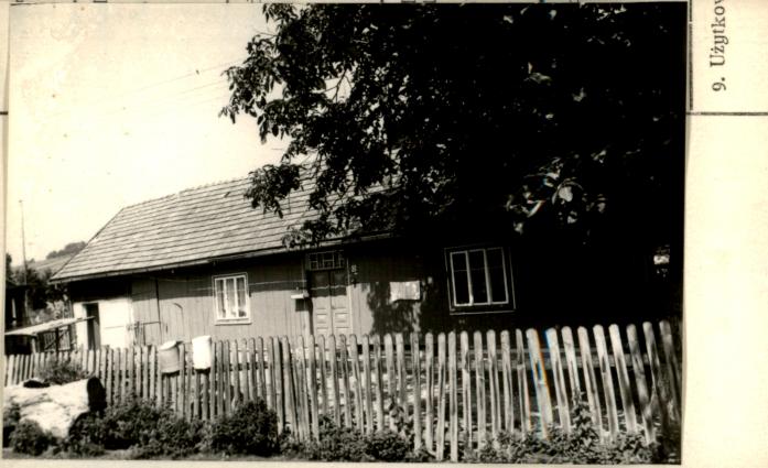 dom, skan 2