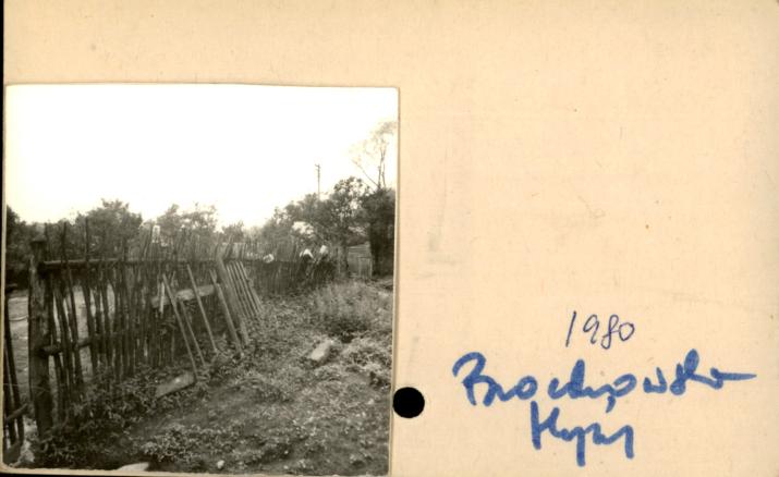 płot, skan 2