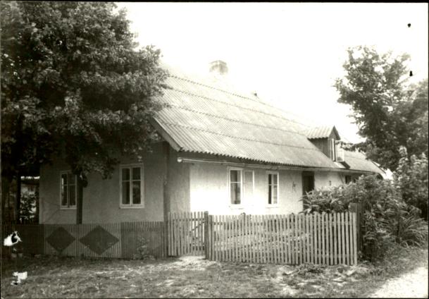 dom, skan 3