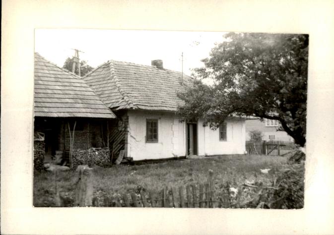 dom, skan 2
