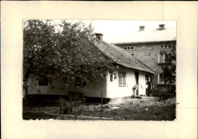 dom, skan 2